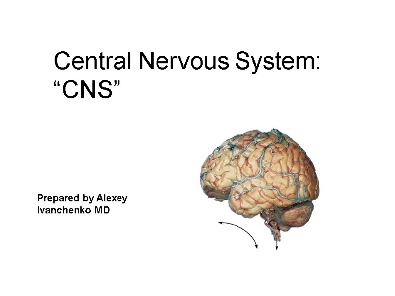 Central Nervous System: “CNS” Prepared by Alexey Ivanchenko MD